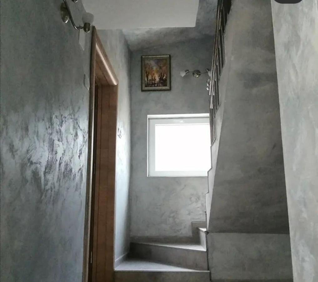 Vila Lux Nedeljkovic Gornja Trepca Čačak Exteriör bild