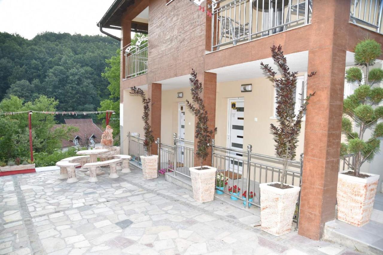 Vila Lux Nedeljkovic Gornja Trepca Čačak Exteriör bild